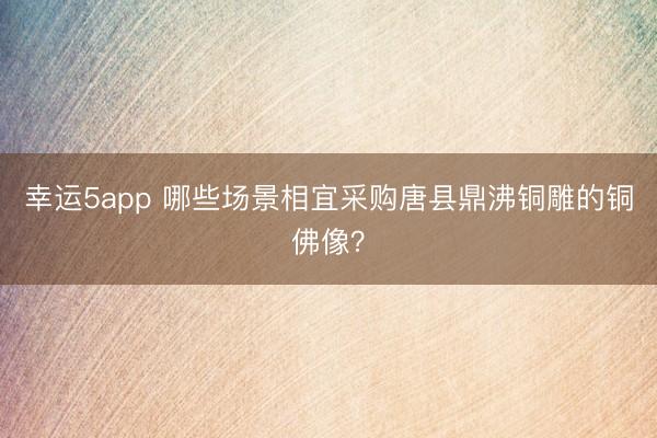 幸运5app 哪些场景相宜采购唐县鼎沸铜雕的铜佛像？