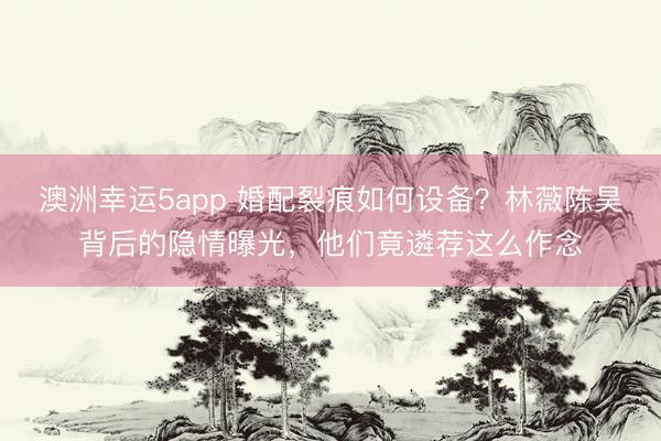 澳洲幸运5app 婚配裂痕如何设备？林薇陈昊背后的隐情曝光，他们竟遴荐这么作念