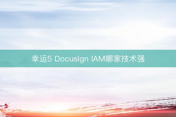 幸运5 Docusign IAM哪家技术强