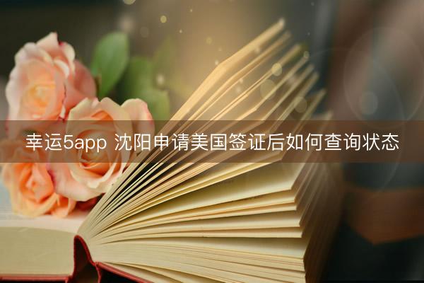 幸运5app 沈阳申请美国签证后如何查询状态