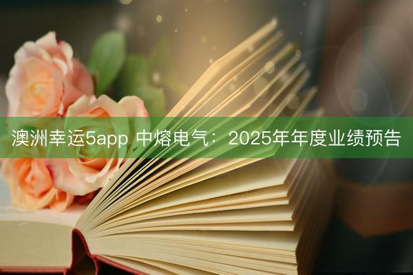 澳洲幸运5app 中熔电气：2025年年度业绩预告