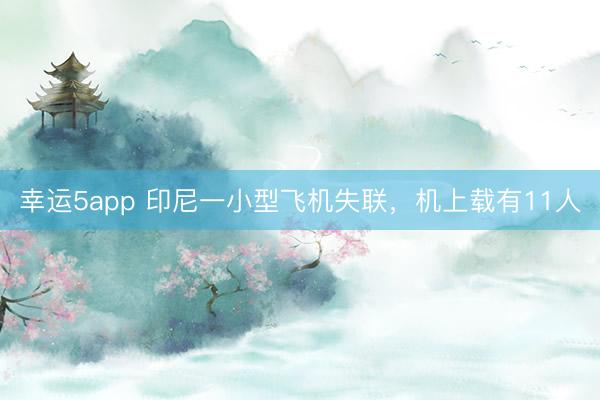 幸运5app 印尼一小型飞机失联,机上载有11人
