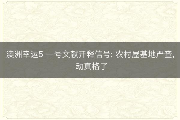 澳洲幸运5 一号文献开释信号: 农村屋基地严查， 动真格了