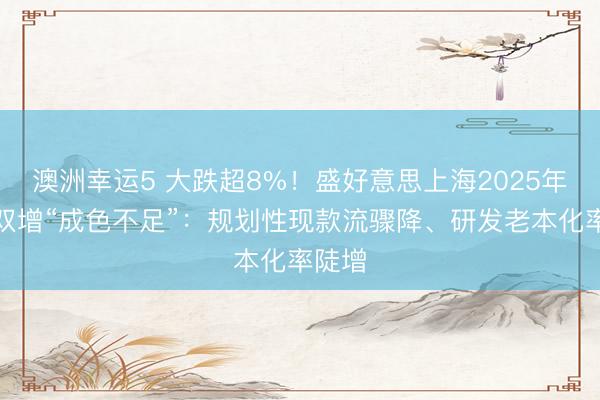 澳洲幸运5 大跌超8%!盛好意思上海2025年牟利双增“成色不足”:规划性现款流骤降、研发老本化率陡增