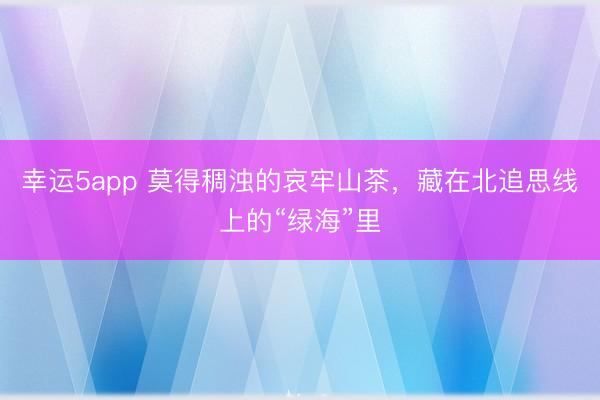 幸运5app 莫得稠浊的哀牢山茶,藏在北追思线上的“绿海”里