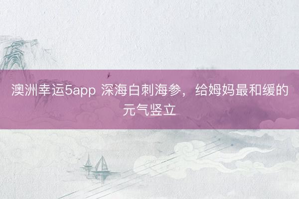 澳洲幸运5app 深海白刺海参，给姆妈最和缓的元气竖立