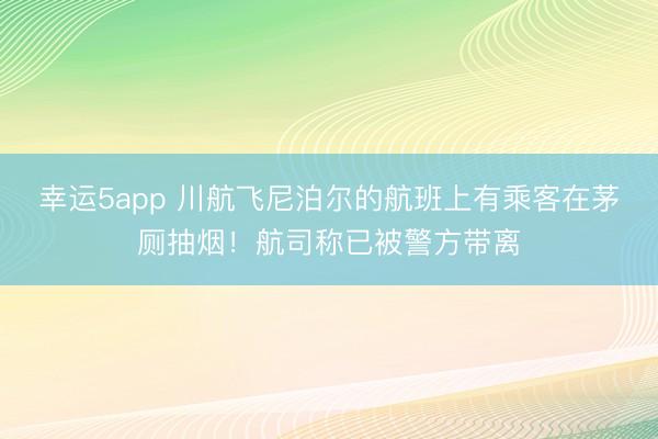 幸运5app 川航飞尼泊尔的航班上有乘客在茅厕抽烟!航司称已被警方带离