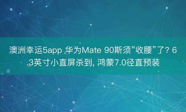 澳洲幸运5app 华为Mate 90斯须“收腰”了? 6.3英寸小直屏杀到， 鸿蒙7.0径直预装
