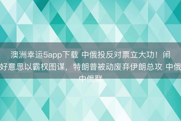 澳洲幸运5app下载 中俄投反对票立大功！闹翻好意思以霸权图谋，特朗普被动废弃伊朗总攻 中俄联