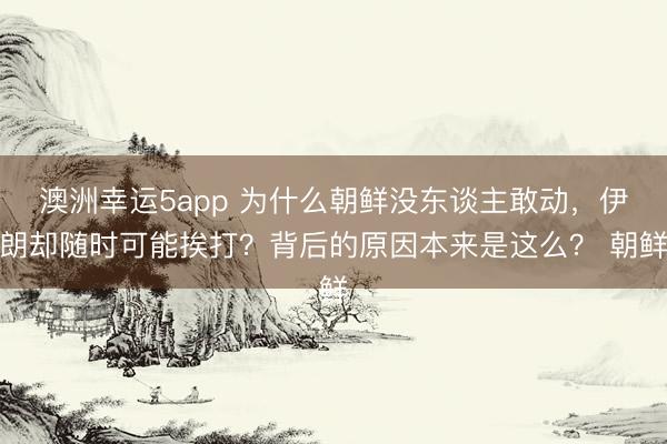 澳洲幸运5app 为什么朝鲜没东谈主敢动,伊朗却随时可能挨打?背后的原因本来是这么? 朝鲜