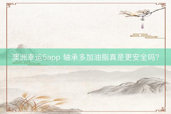 澳洲幸运5app 轴承多加油脂真是更安全吗?