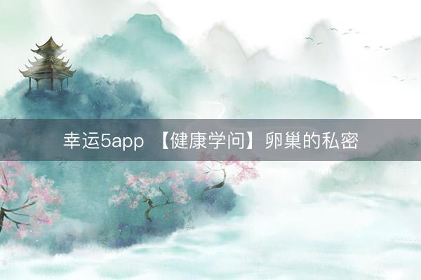 幸运5app 【健康学问】卵巢的私密