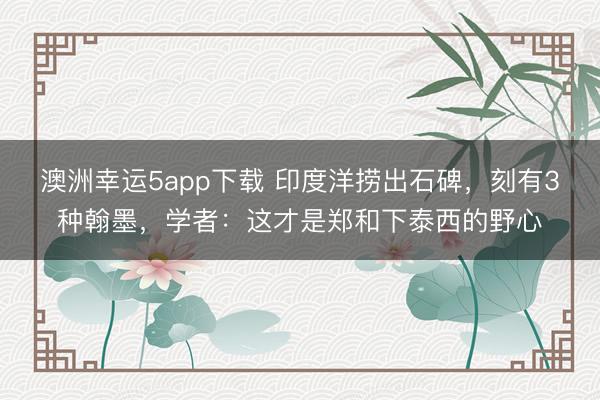 澳洲幸运5app下载 印度洋捞出石碑,刻有3种翰墨,学者:这才是郑和下泰西的野心