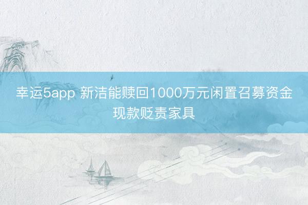 幸运5app 新洁能赎回1000万元闲置召募资金现款贬责家具