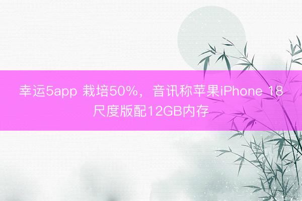 幸运5app 栽培50%，音讯称苹果iPhone 18尺度版配12GB内存