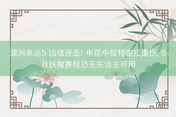 澳洲幸运5 凶信连击! 申花中枢特谢拉重伤， 5月妖魔赛程恐无东谈主可用