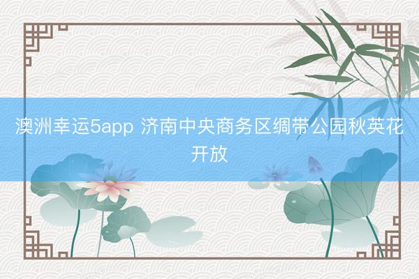 澳洲幸运5app 济南中央商务区绸带公园秋英花开放