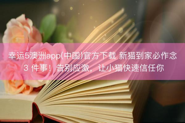 幸运5澳洲app(中国)官方下载 新猫到家必作念 3 件事!告别应激,让小猫快速信任你
