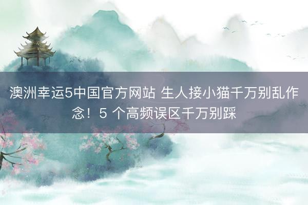 澳洲幸运5中国官方网站 生人接小猫千万别乱作念!5 个高频误区千万别踩