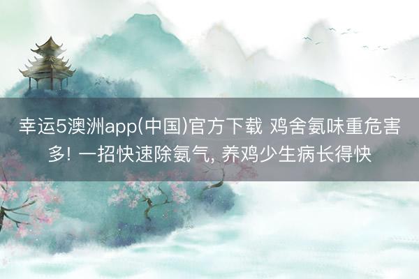 幸运5澳洲app(中国)官方下载 鸡舍氨味重危害多! 一招快速除氨气, 养鸡少生病长得快