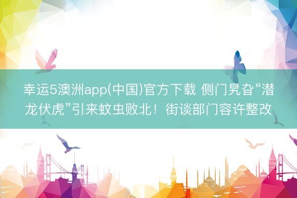 幸运5澳洲app(中国)官方下载 侧门旯旮“潜龙伏虎”引来蚊虫败北!街谈部门容许整改