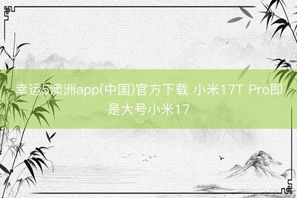 幸运5澳洲app(中国)官方下载 小米17T Pro即是大号小米17