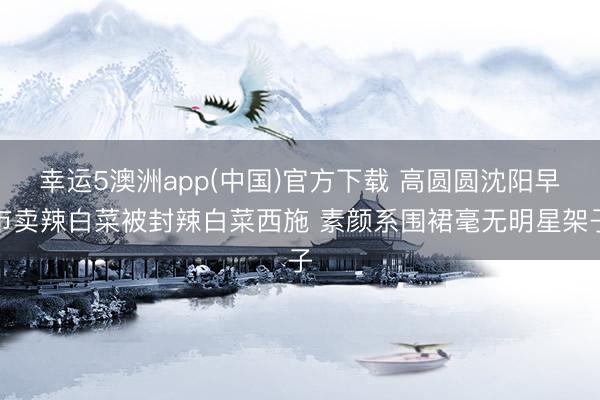 幸运5澳洲app(中国)官方下载 高圆圆沈阳早市卖辣白菜被封辣白菜西施 素颜系围裙毫无明星架子