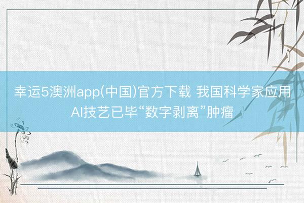 幸运5澳洲app(中国)官方下载 我国科学家应用AI技艺已毕“数字剥离”肿瘤
