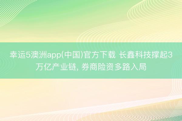幸运5澳洲app(中国)官方下载 长鑫科技撑起3万亿产业链, 券商险资多路入局